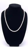 24" Strand of Akoya Pearls F330B4011825