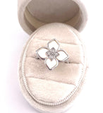 Mother of Pearl Ring C401R07517WMOP