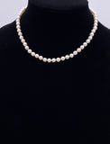 16" strand of Akoya Pearls F330B440363