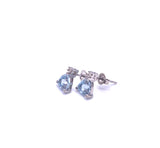 Aquamarine Earrings F314E301Q