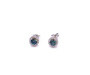 Montana Sapphire Stud Earrings F368ECC230MS2WI