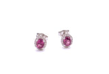 Oval Shaped Rhodolite Garnet Post Earrings by Coast F038ECK10020RGAR