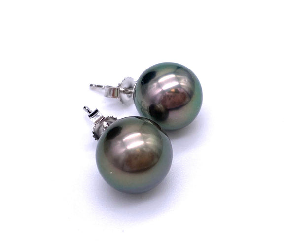 Tahitian Pearl Post Earrings F330B290479