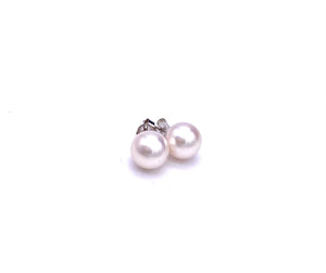 9mm Pearl Stud Earrings F330B255954