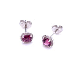 Cushion Shaped Rhodolite Garnet Earrings by Coast F038ECK1011RGAR