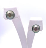 Tahitian Pearl Post Earrings F330B290479