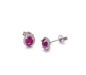 Oval Shaped Rhodolite Garnet Post Earrings by Coast F038ECK10020RGAR